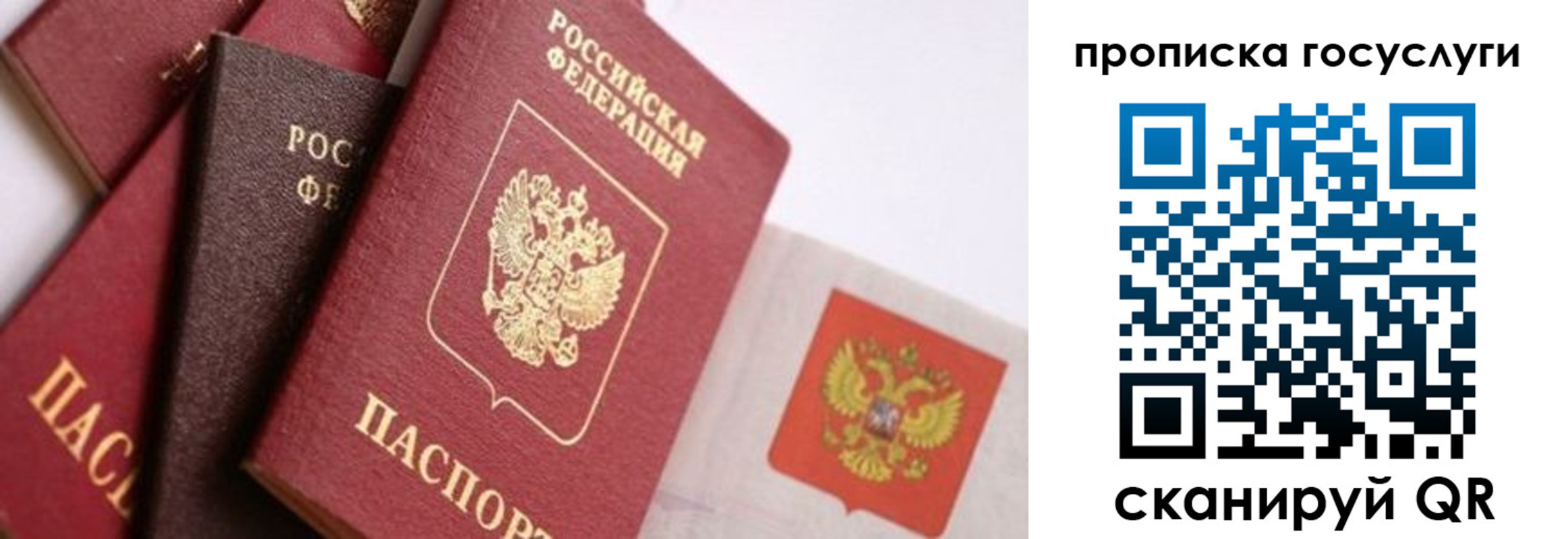 прописка законно в Санкт-Петербурге